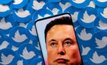 Twitter, entre la toxicidad y la pornografía
