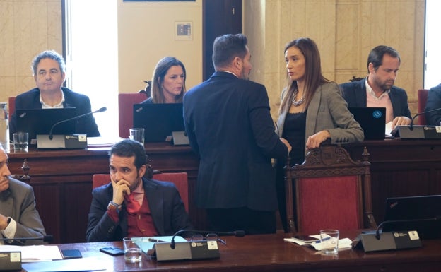 Elisa Pérez de Siles: «Y ahora no le gusta la torre del puerto de Málaga a la señora Losada»