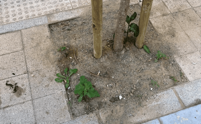 La otra cara del arreglo de la calle Carretería