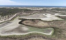 El Gobierno invertirá 356 millones de euros para la restauración de Doñana