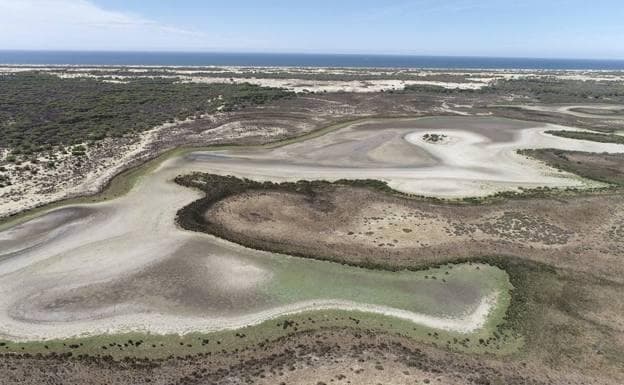 El Gobierno invierte 356 millones en revitalizar Doñana para poner freno a sus graves amenazas