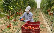 España, tercer país de la UE por valor generado en sector agrario y cuarto por ventas en industria alimentaria