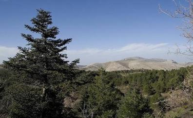 La Junta inicia la tramitación para crear el Espacio Natural de la Sierra de las Nieves