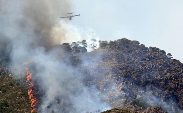 La Diputación abre nuevas ayudas de 500.000 euros para agricultores y empresas por el incendio de Sierra Bermeja