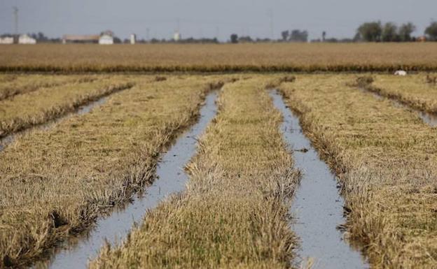 Asaja y COAG celebran la llegada de precipitaciones y esperan que el invierno sea lluvioso