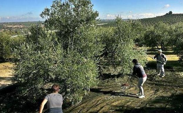 UGT valora la proposición no de ley presentada en el Congreso para la mejora de los desempleados eventuales agrarios en Andalucía