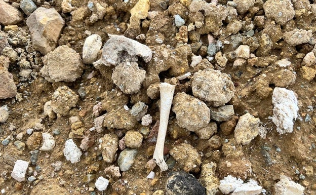 Aparecen restos óseos en una parcela de Villanueva del Trabuco tras la remodelación del cementerio