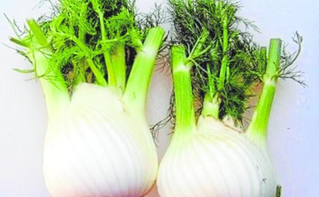 Hinojo, el delicado perfume del Mediterráneo