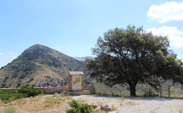 Encinas Borrachas, el puerto de montaña de llamativo nombre que sirve de entrada al Valle del Genal