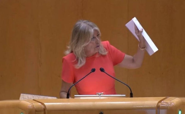 Ángeles Muñoz reprocha al PSOE que vote contra las enmiendas para incluir proyectos de Marbella en los Presupuestos Generales del Estado