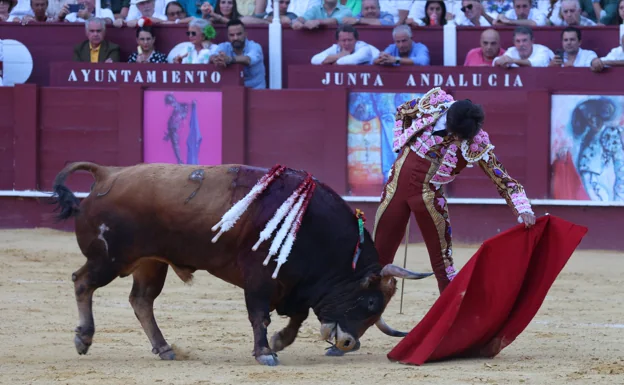 El Colegio de Veterinarios concede a 'Juguetón' de Daniel Ruiz el premio al toro más bravo de Málaga en 2022
