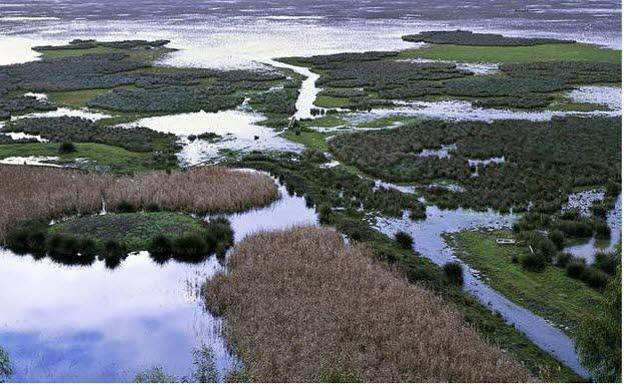 La Estación Biológica de Doñana-CSIC participa en un proyecto para proteger y reconectar la naturaleza en Europa