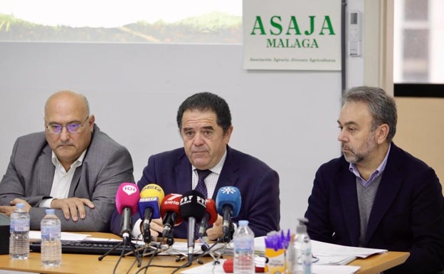 El incremento de costes hunde la rentabilidad del sector agrario de Málaga en 2022