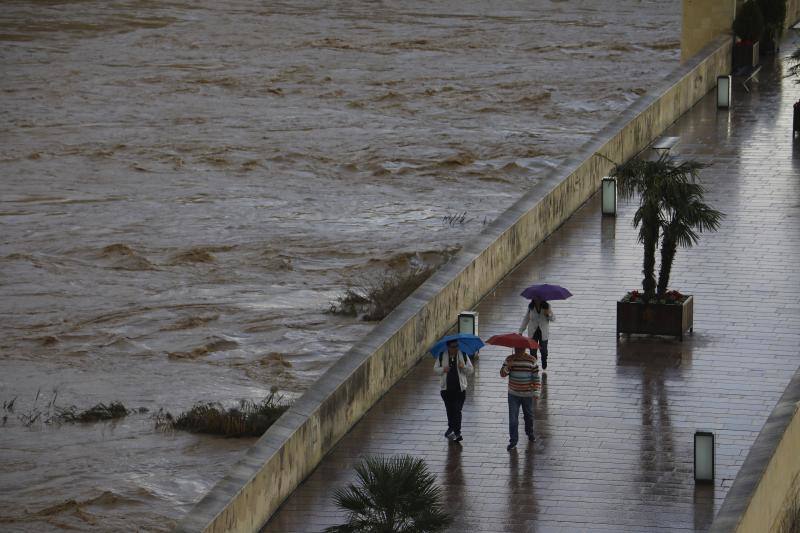 La lluvia vuelve con fuerza a Málaga, con posibles tormentas este viernes