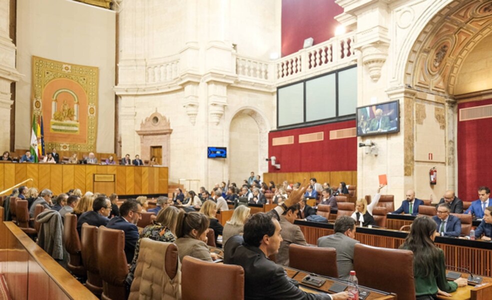 PSOE y Por Andalucía presentan sus enmiendas a los Presupuestos andaluces fuera de plazo