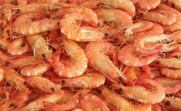 ¿Dónde comprar los mejores langostinos congelados?: los trucos de la OCU