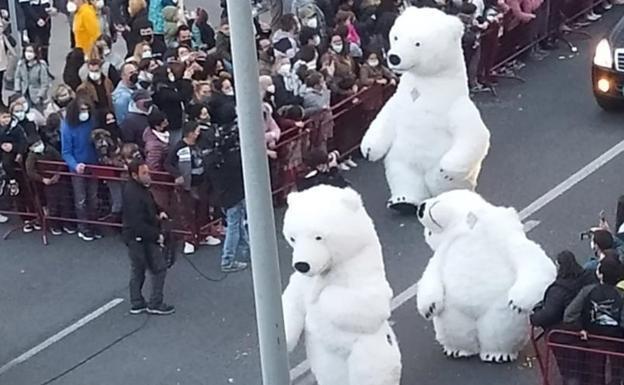 Miles de firmas piden que el oso 'perjudicado' malagueño vuelva a desfilar en la Cabalgata de Cádiz