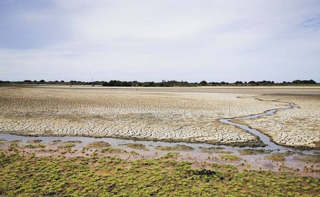 El Gobierno y la Junta acuerdan comenzar a unir esfuerzos para salvar Doñana