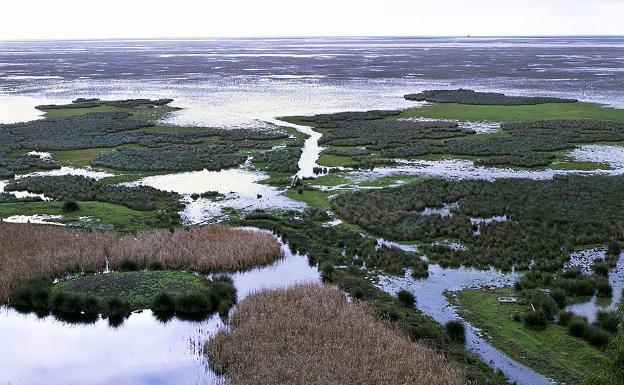 La Junta espera el inicio «inminente» de la Comisión para Doñana y avisa: «El acuífero no se puede sobreexplotar más»