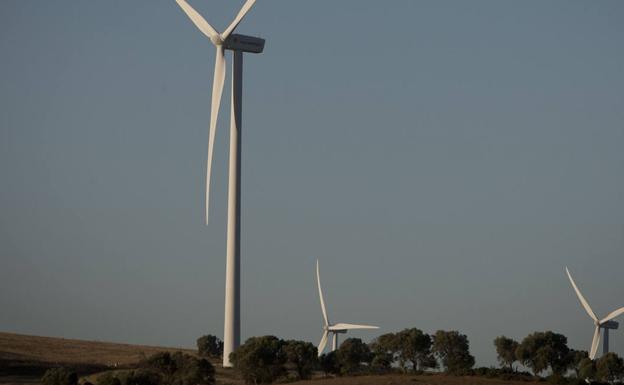 Andalucía quiere ahorrar para 2026 un 12% de energía y ser líder nacional en renovables en dos años