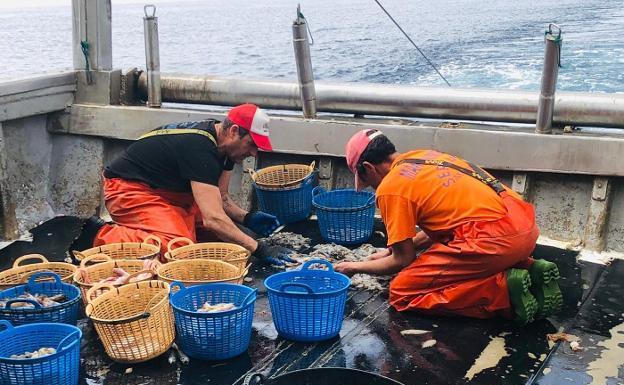 La Junta amplía las líneas de ayuda a la pesca y a la acuicultura hasta alcanzar los 9,5 millones de euros