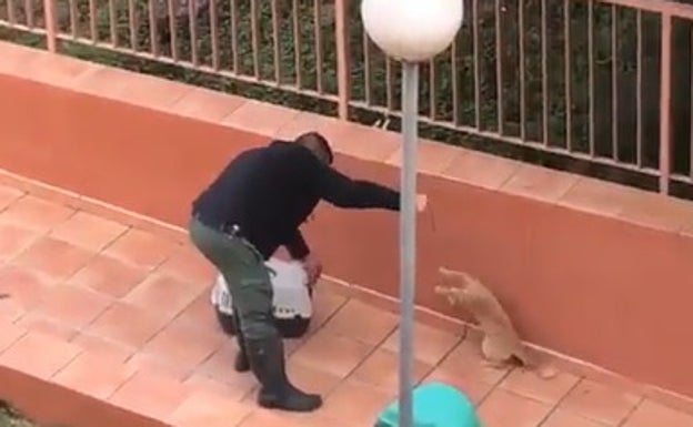 PACMA denuncia la muerte de una gata capturada con un lazo por un trabajador en Rincón de la Victoria