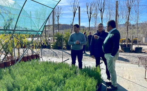 Un pulmón verde en el corazón de la Axarquía: plantarán 42.000 árboles y arbustos en el pantano de La Viñuela