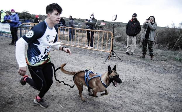 La IX Manilva Mushing Race tendrá lugar el próximo 19 de febrero
