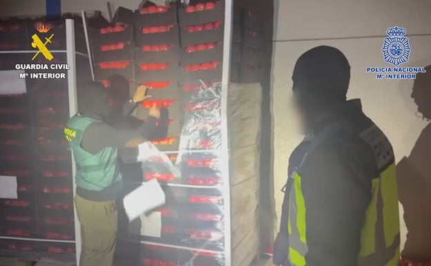 Golpe al narcotráfico en Málaga: intervienen 22 toneladas de hachís en falsos tomates