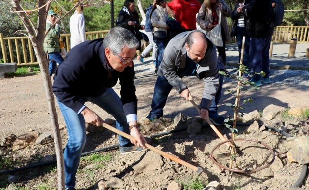 Rincón de la Victoria abre el parque forestal El Cantal con una gran plantación de 140 especies