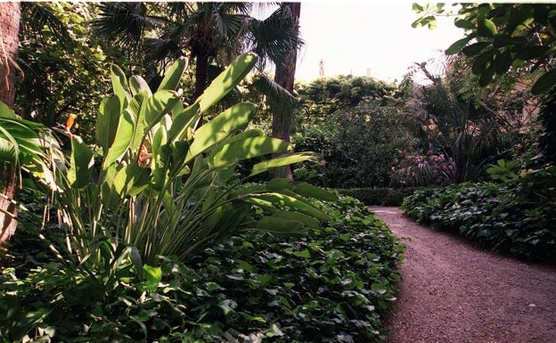 El Ayuntamiento de Málaga saca a concurso la explotación de la tienda y el quiosco del Jardín Botánico de La Concepción