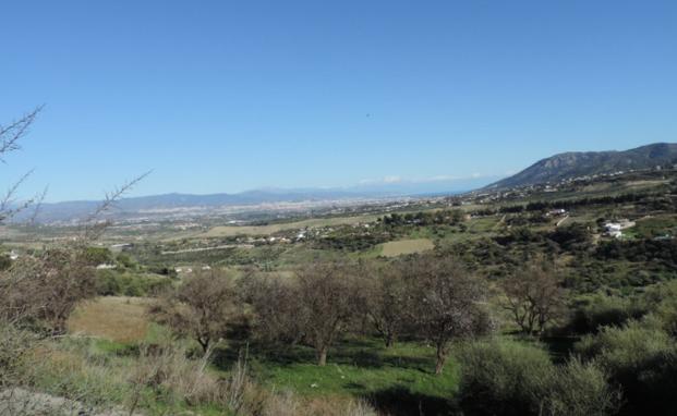 El yacimiento de Los Caracolillos en Alhaurín de la Torre fue ocupado por humanos en torno al año 3.100 a.C