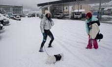 El frío, el viento y la nieve ponen en riesgo a una veintena de provincias este viernes