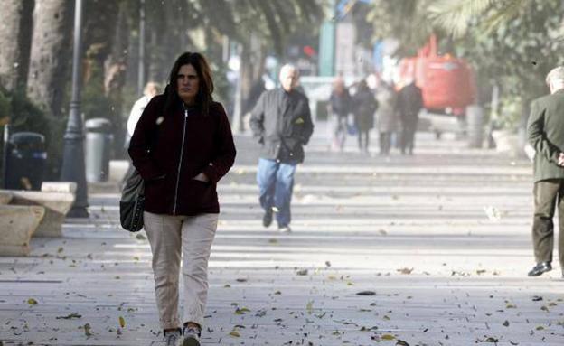 Avisos amarillos por temperaturas mínimas bajo cero este sábado en Córdoba, Jaén y Granada