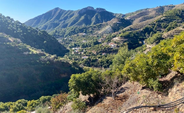 Detenido por una oleada de robos en viviendas rurales de Nerja