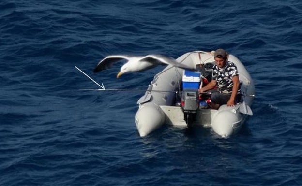 Ecologistas denuncian pesca furtiva en el paraje natural de los acantilados de Maro-Cerro Gordo