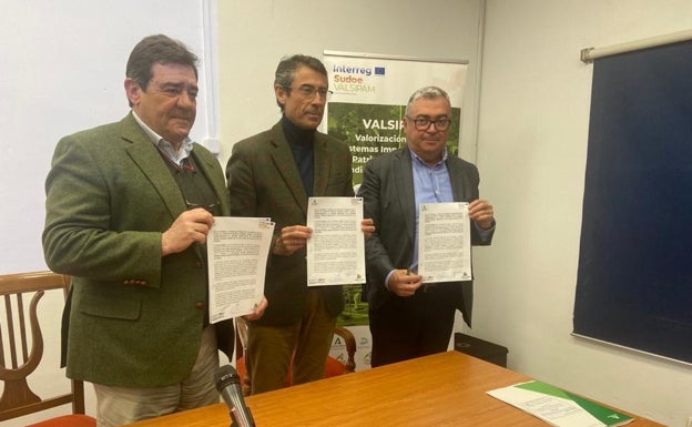 Lanzan una página web para promocionar el SIPAM de la uva pasa moscatel de la Axarquía