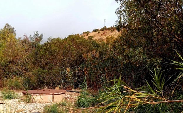 Ecologistas denuncian riegos «ilegales» de fincas de subtropicales en Periana