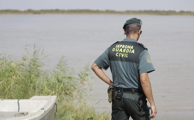 Investigan a 33 personas en Málaga tras el rescate de 180 animales, algunos heridos y con enfermedades