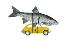 Viajar con la tripa