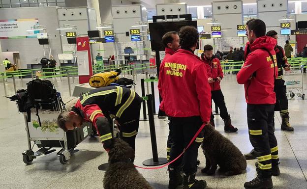 Regresan los primeros bomberos malagueños tras finalizar la búsqueda de personas en los terremotos de Turquía