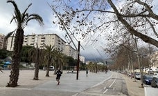 Marbella estudiará las posibles responsabilidades por la pérdida de la subvención para construir el bulevar Pablo Ráez