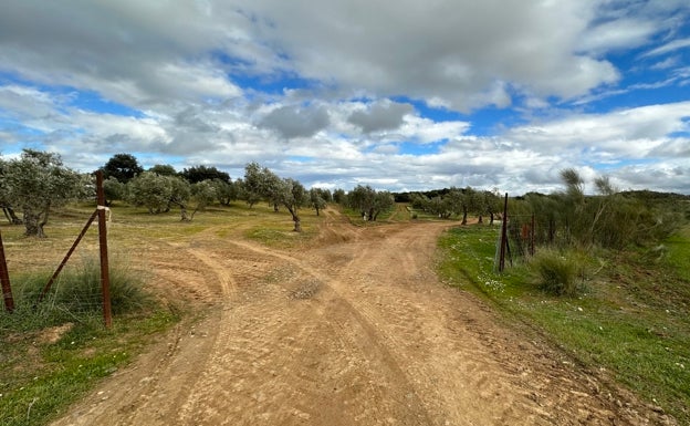 Cañete la Real trabaja en un inventario de caminos rurales y la homologación de los senderos del municipio