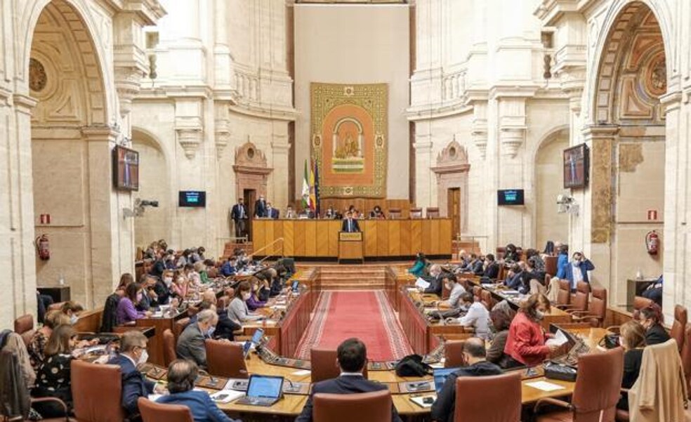 El PSOE y el resto de la izquierda impiden que el Parlamento de Andalucía rechace los efectos indeseables de la ley del 'Sí es sí'