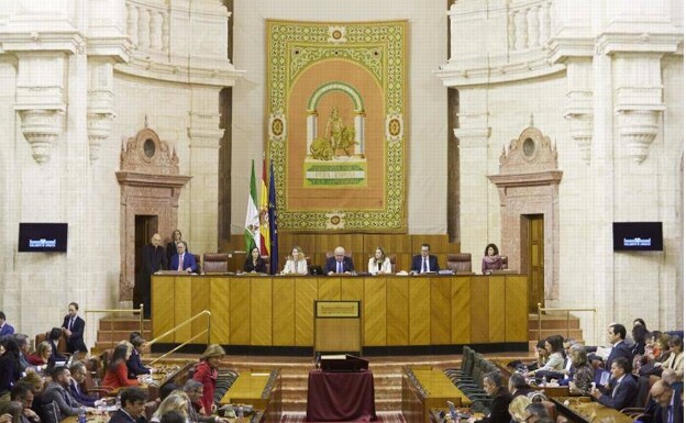 El PSOE y el resto de la izquierda impiden que el Parlamento de Andalucía rechace los efectos indeseables de la ley del 'Sí es sí'
