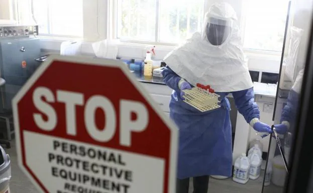 Alarma por un brote del virus de Marburgo, incluido en la lista de patógenos capaces de causar futuras pandemias