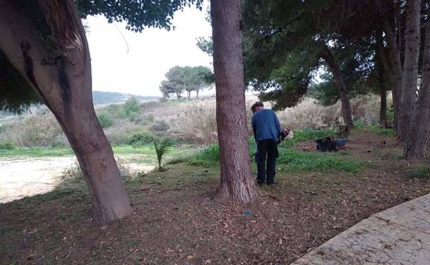 Crearán una nueva zona verde en la trasera del Pabellón de Usos Múltiples y el campo de fútbol