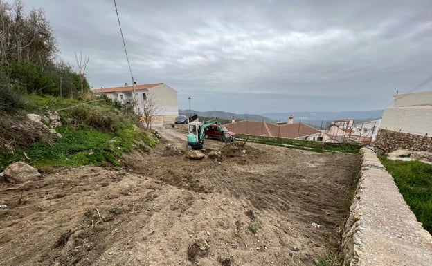 Canillas de Aceituno construye un vivero para fomentar la recuperación del tejo