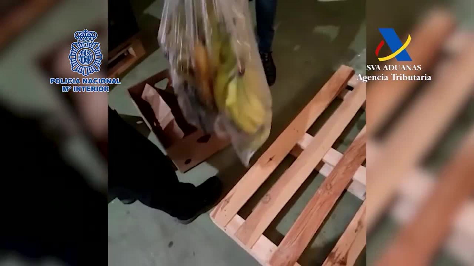 Incautados más de 600 kilos de cocaína oculta en un cargamento de plátanos