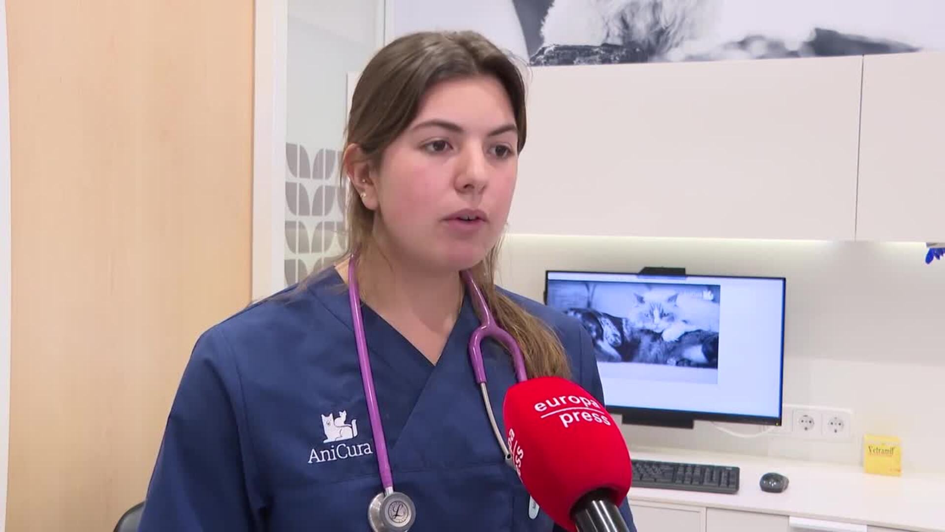 La oruga procesionaria puede provocar "una reacción inflamatoria severa" en perros y gatos